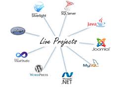 Best live project training in Pune